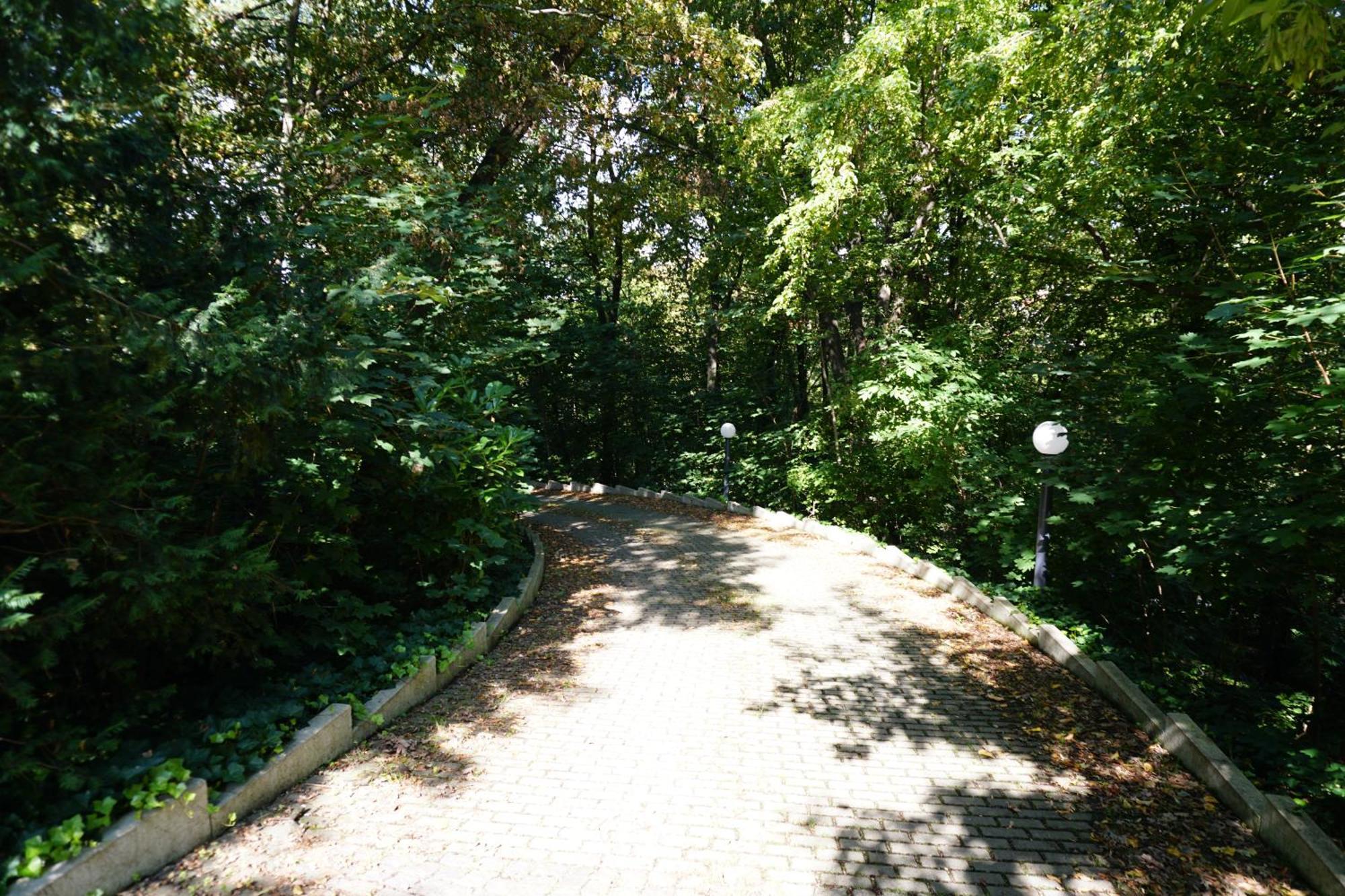 Villa Via Lapis - Panoramablick Ueber Dresden - Garten - Pool - Sauna - Luxus 外观 照片