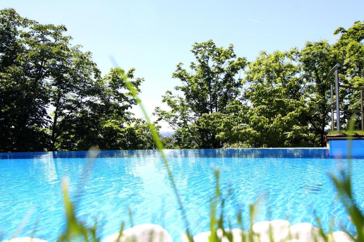 Villa Via Lapis - Panoramablick Ueber Dresden - Garten - Pool - Sauna - Luxus 外观 照片